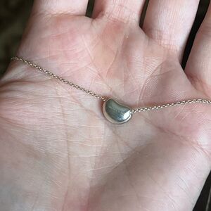 Tiffany & Co x Elsa Peretti Necklace